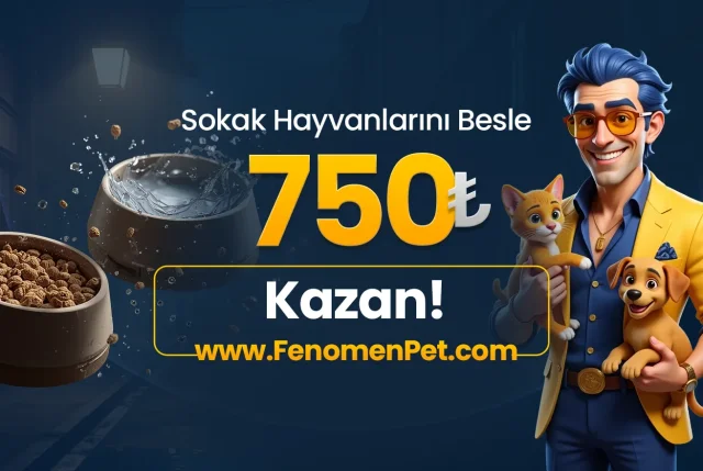 Sokak hayvanlarını besle, 250-500₺ kazan