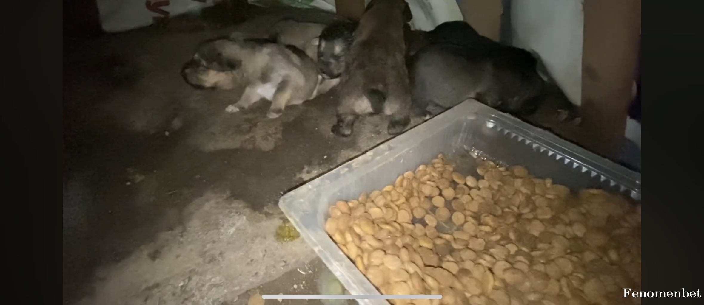Ragnarss tarafından paylaşıldı