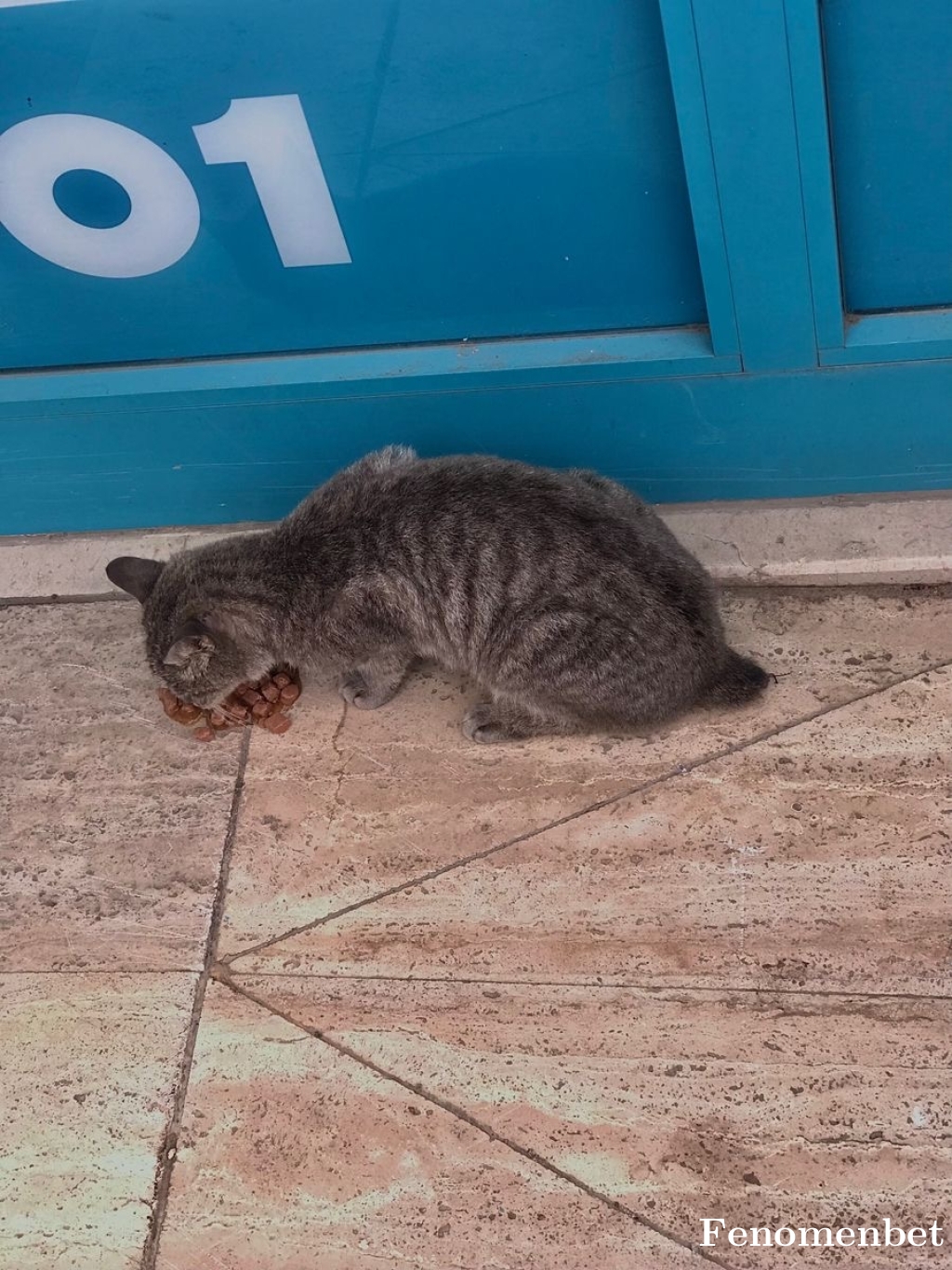sametdikmen1 tarafından paylaşıldı