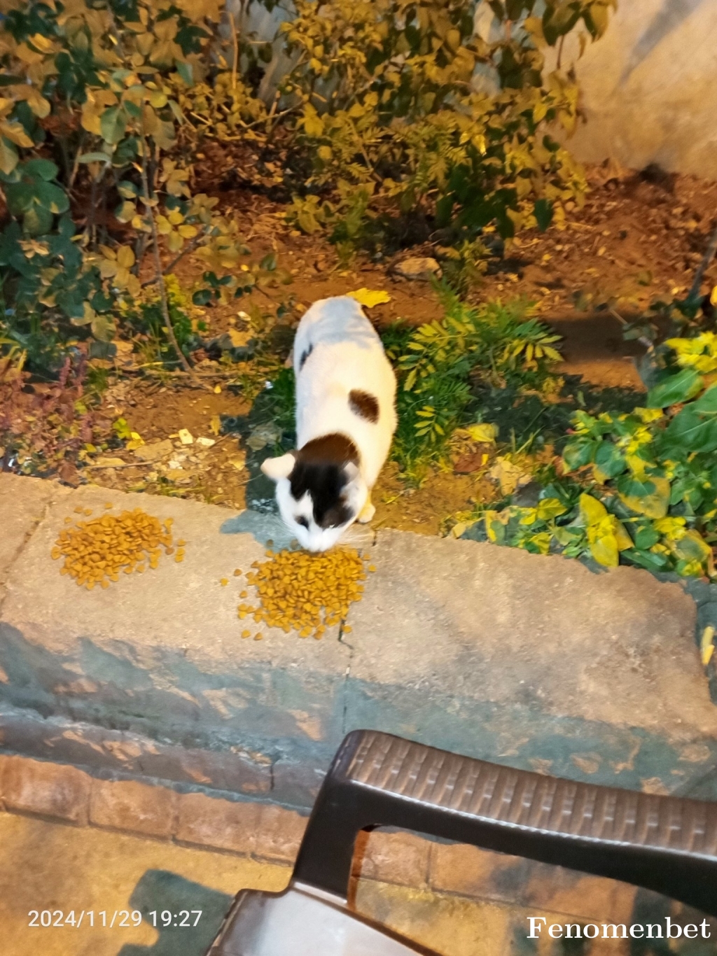 Kooj89 tarafından paylaşıldı
