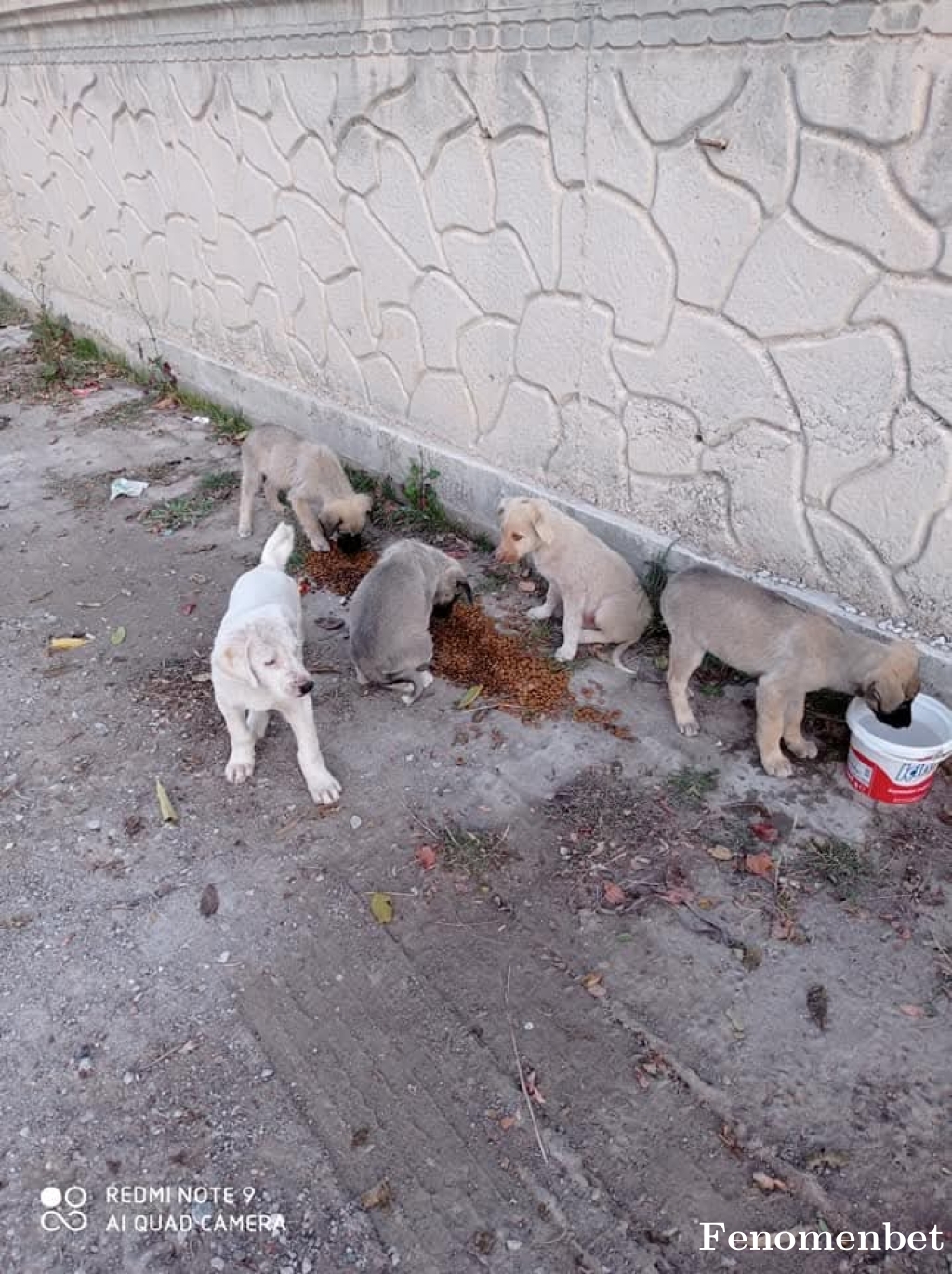 mumiii tarafından paylaşıldı