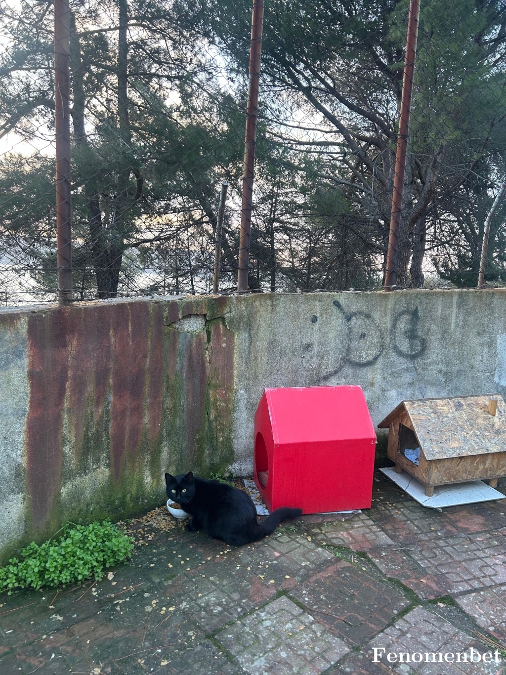 Tuko361 tarafından paylaşıldı