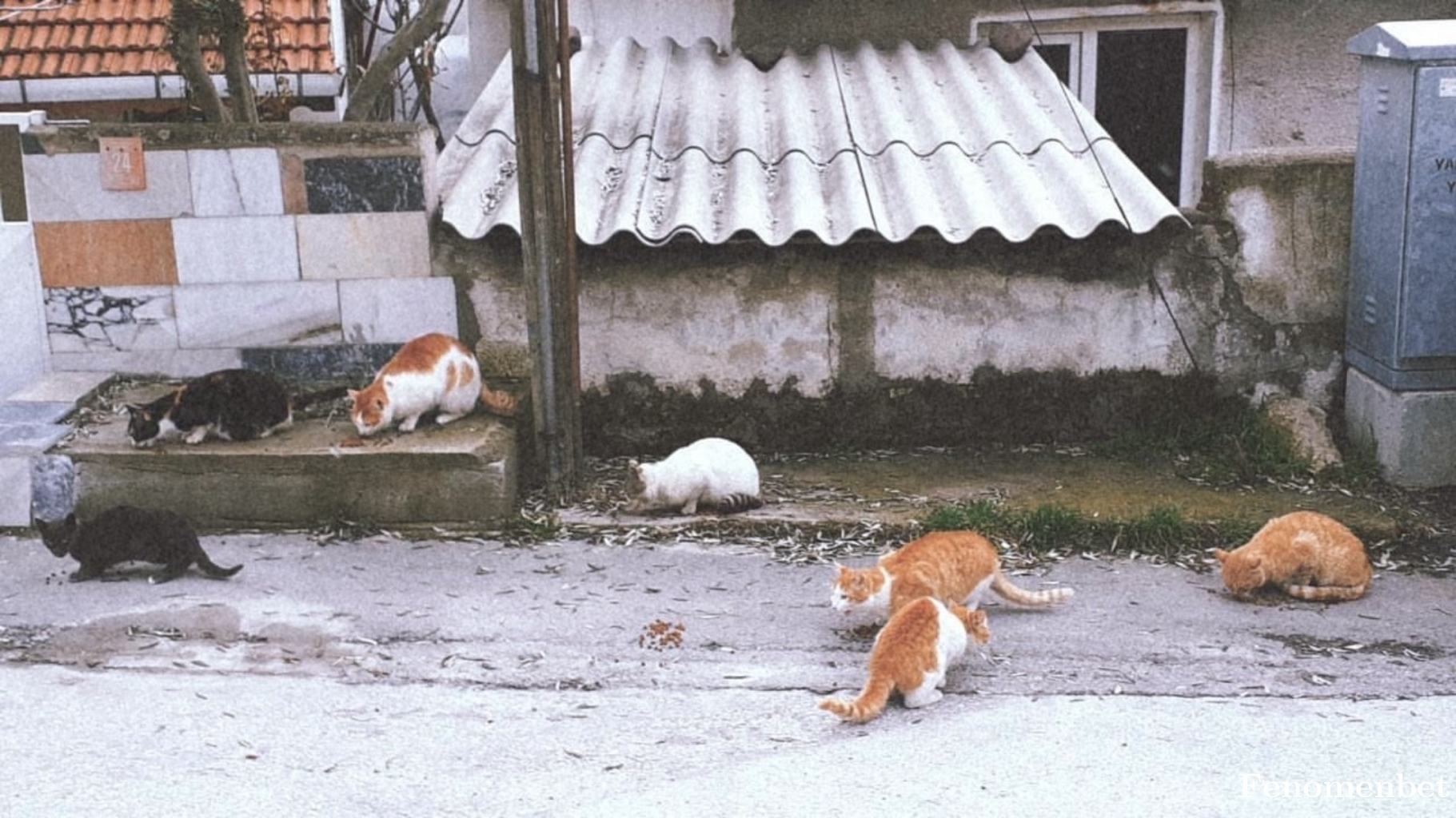 Vargasa tarafından paylaşıldı