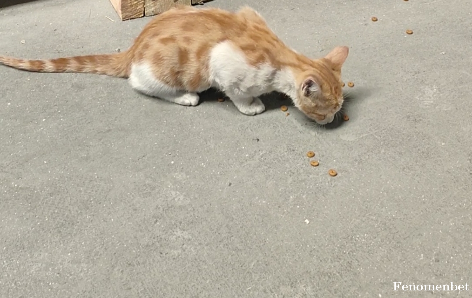 ylcndgdln1 tarafından paylaşıldı