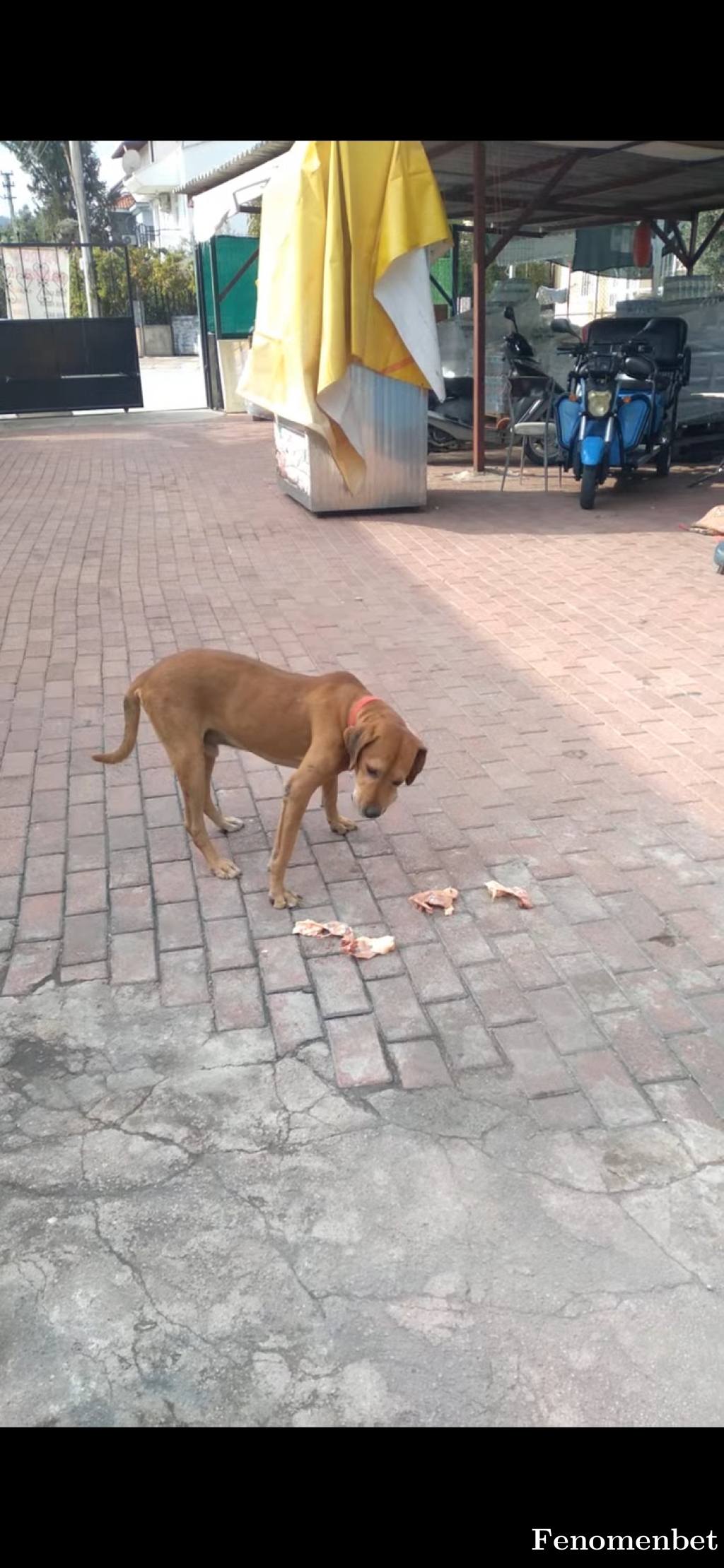 Dogukan42 tarafından paylaşıldı