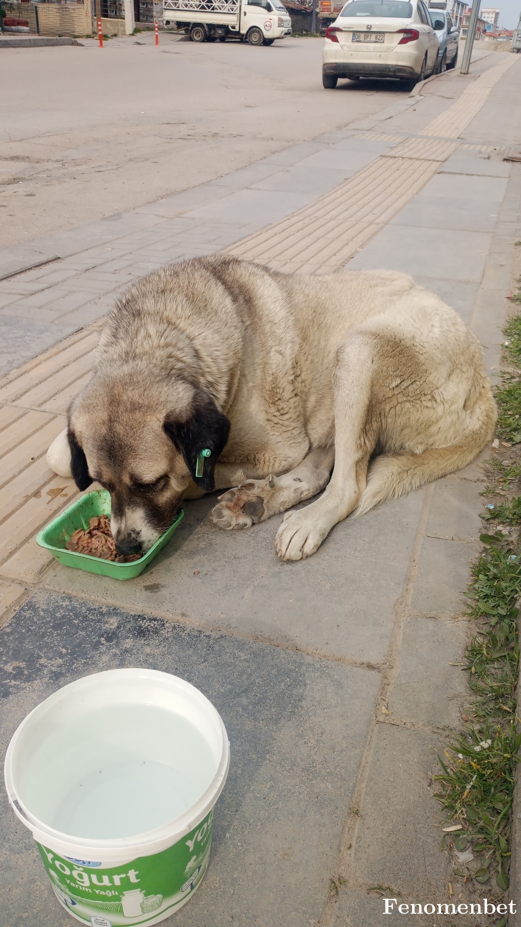 melom tarafından paylaşıldı