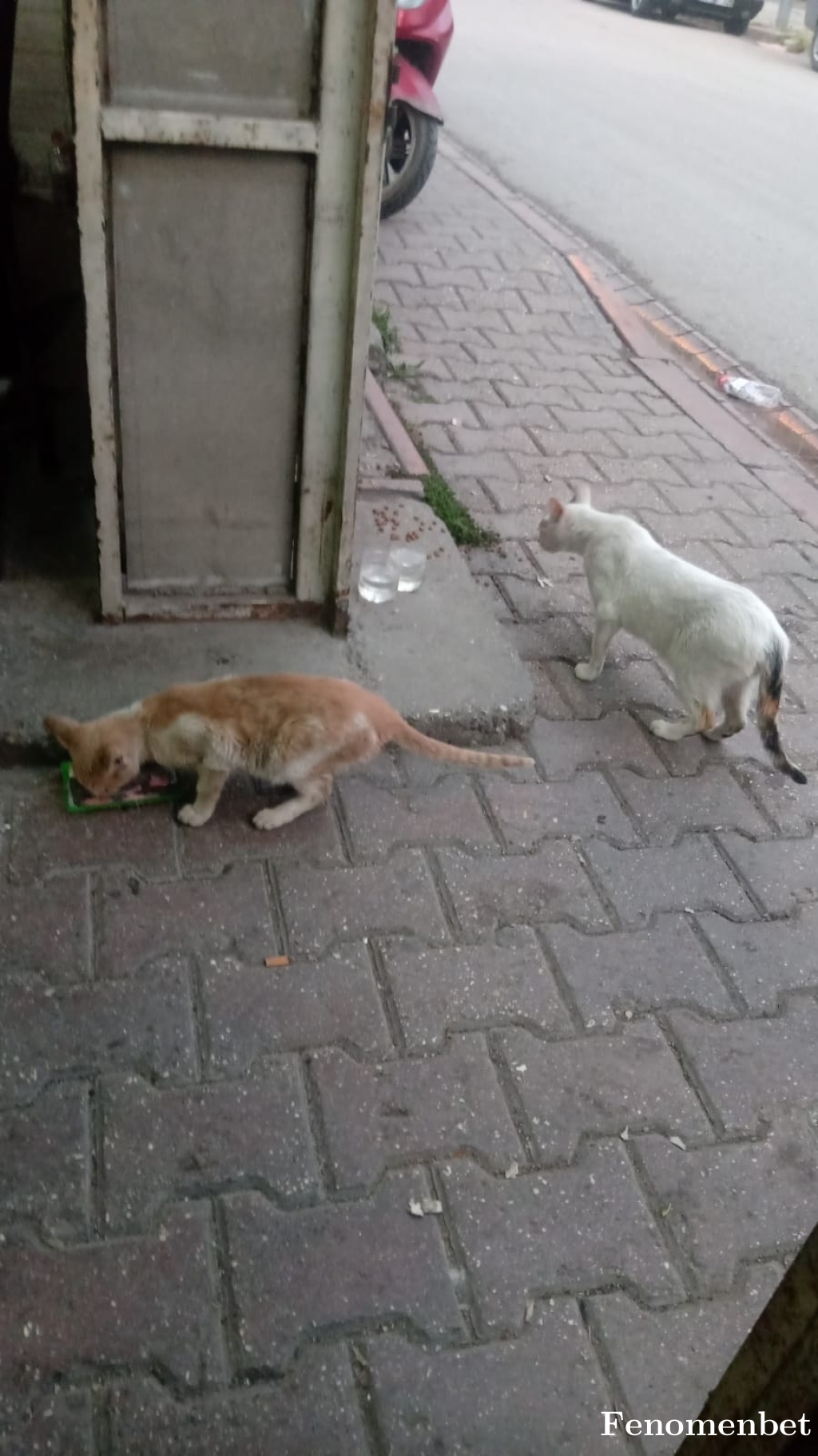 Kukla0102 tarafından paylaşıldı