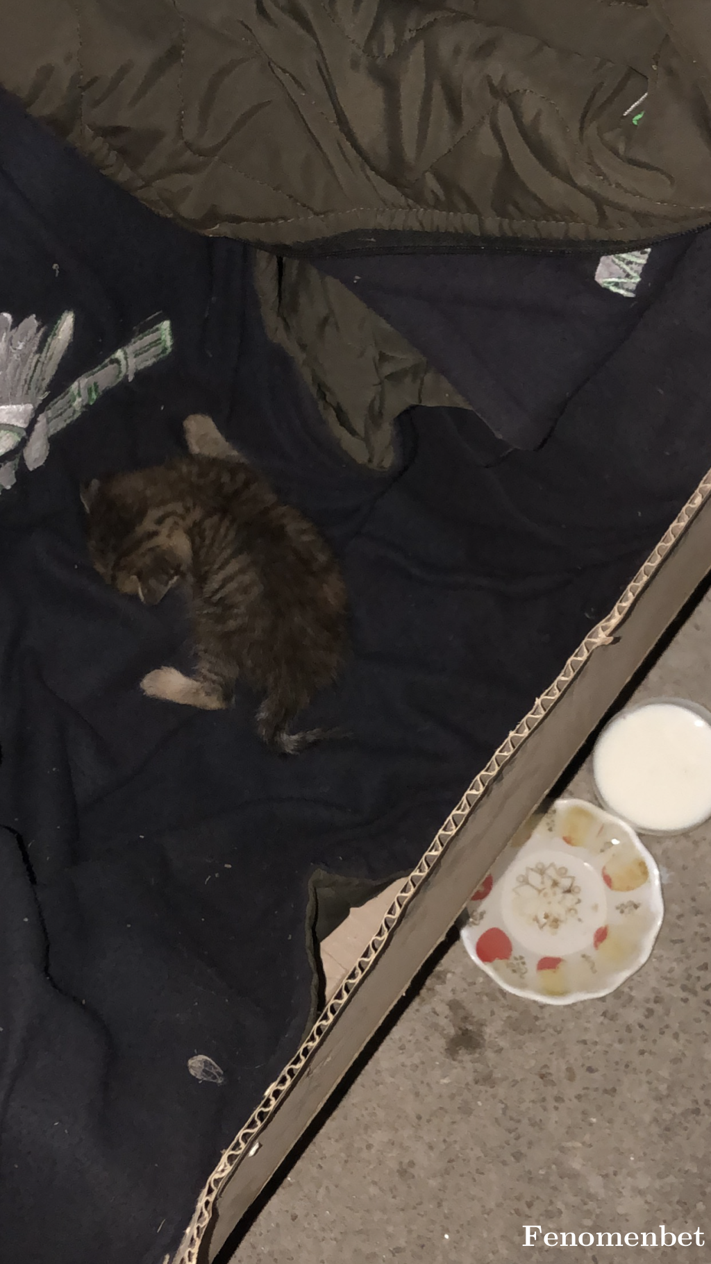 Meteatl tarafından paylaşıldı