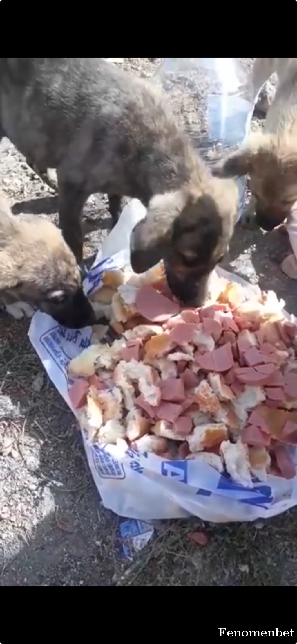 Selekta tarafından paylaşıldı