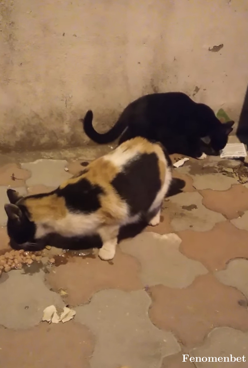 Durkut37 tarafından paylaşıldı