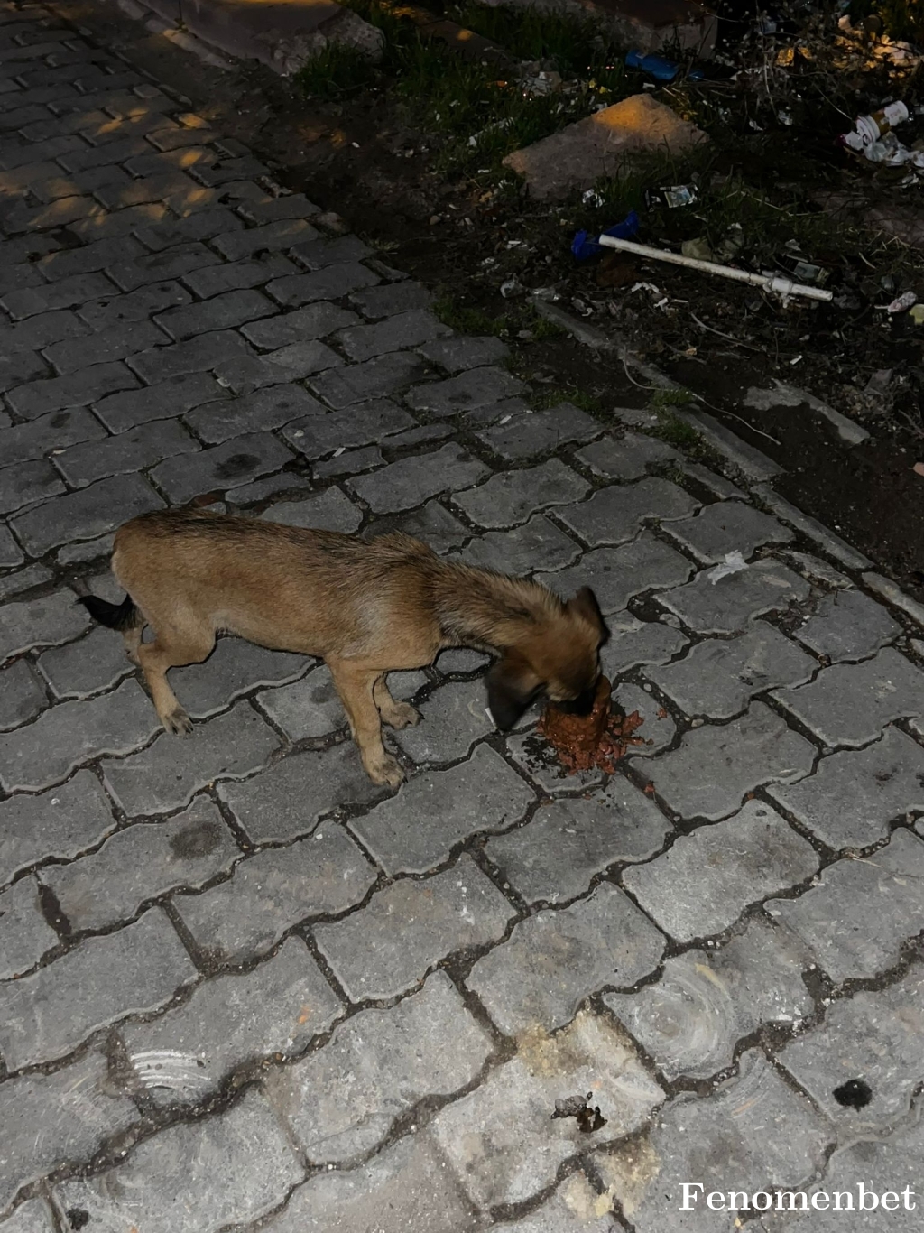 Fako066 tarafından paylaşıldı