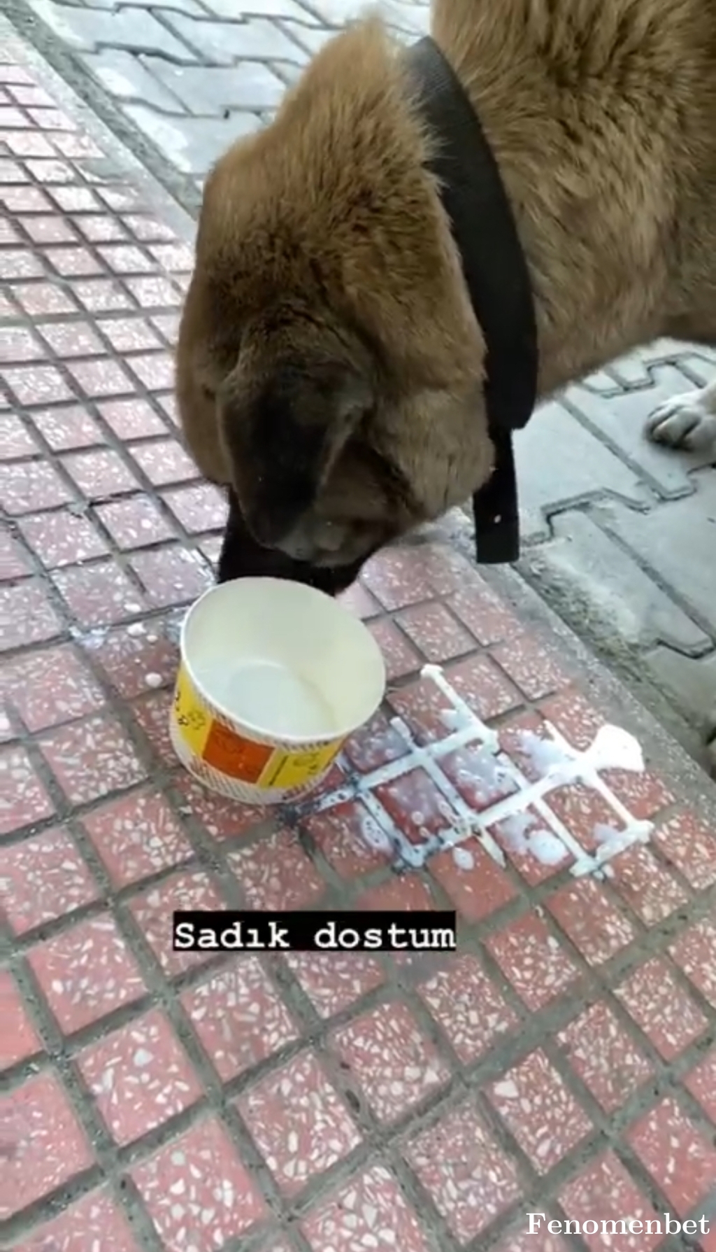 erdemkaya91 tarafından paylaşıldı