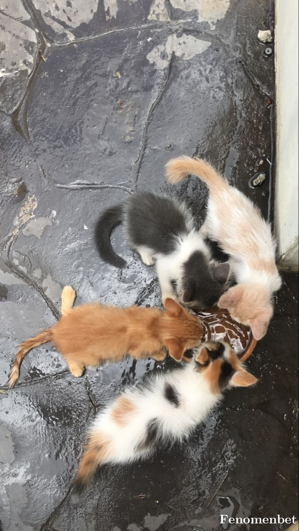 eneswz tarafından paylaşıldı