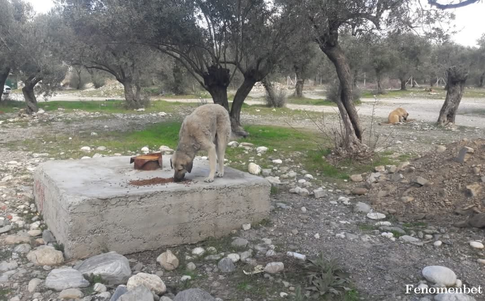 yasyas06 tarafından paylaşıldı