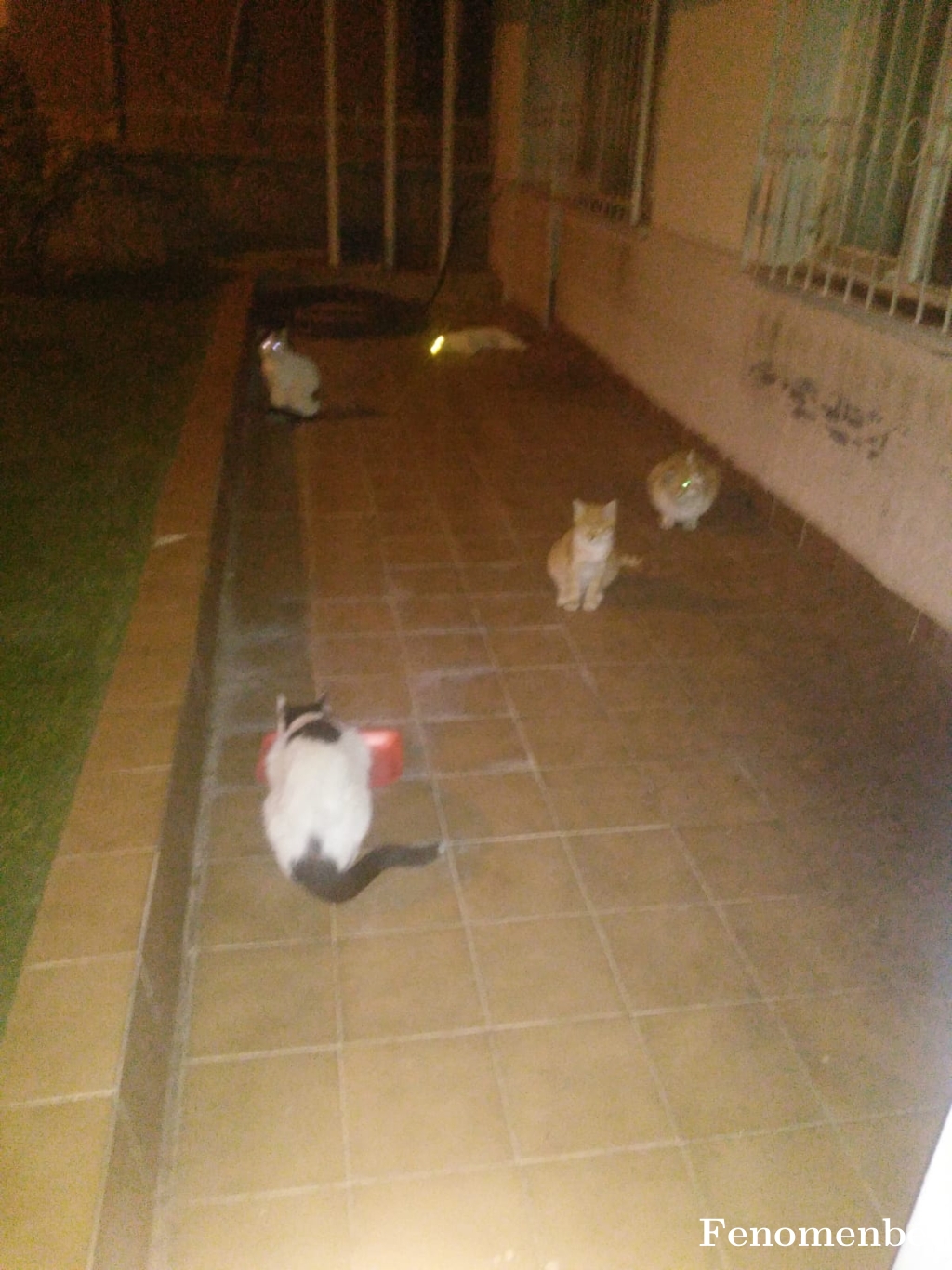 ahmetunay tarafından paylaşıldı