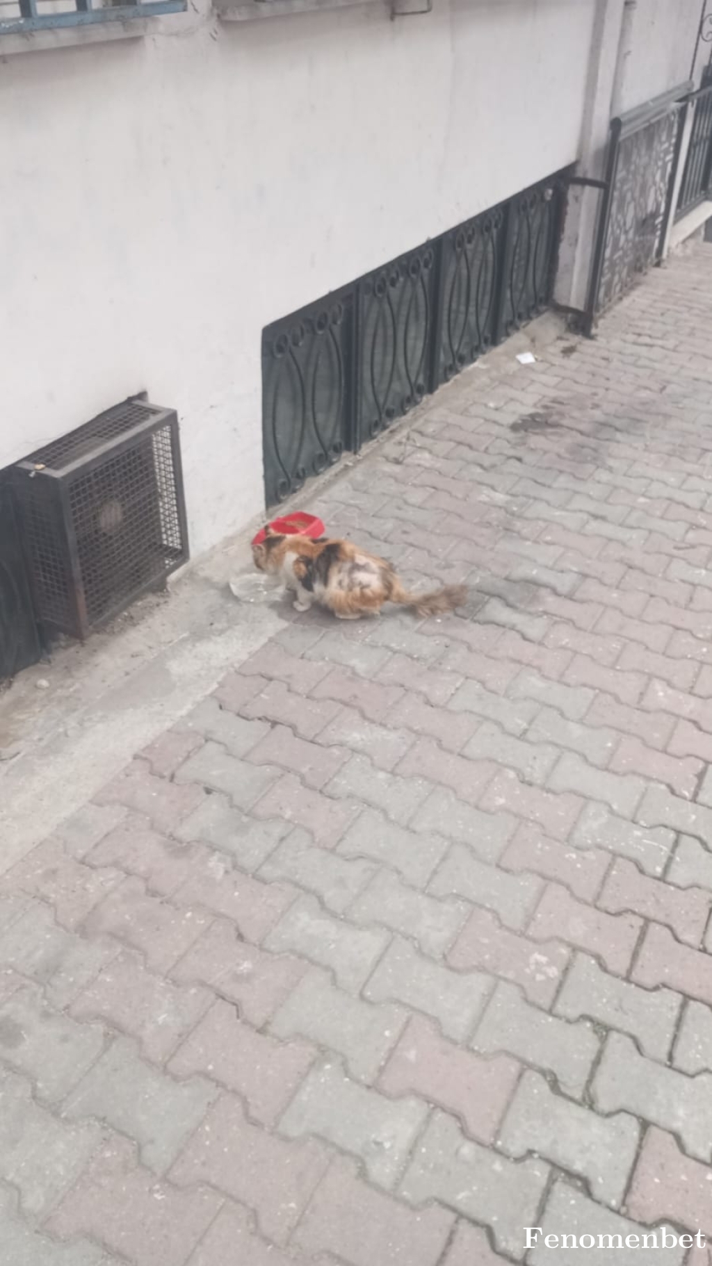 Recepg34 tarafından paylaşıldı