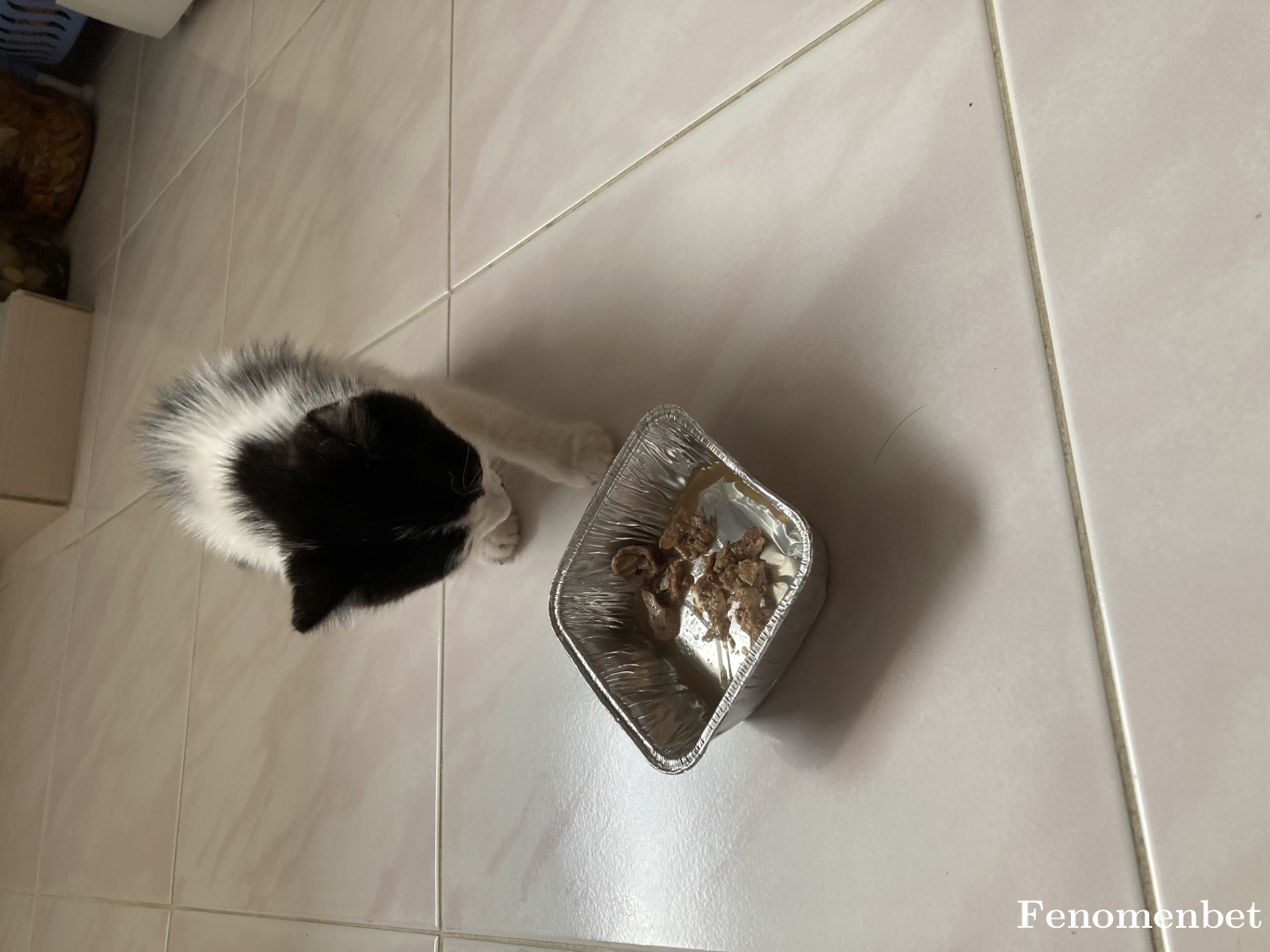 ivan01 tarafından paylaşıldı
