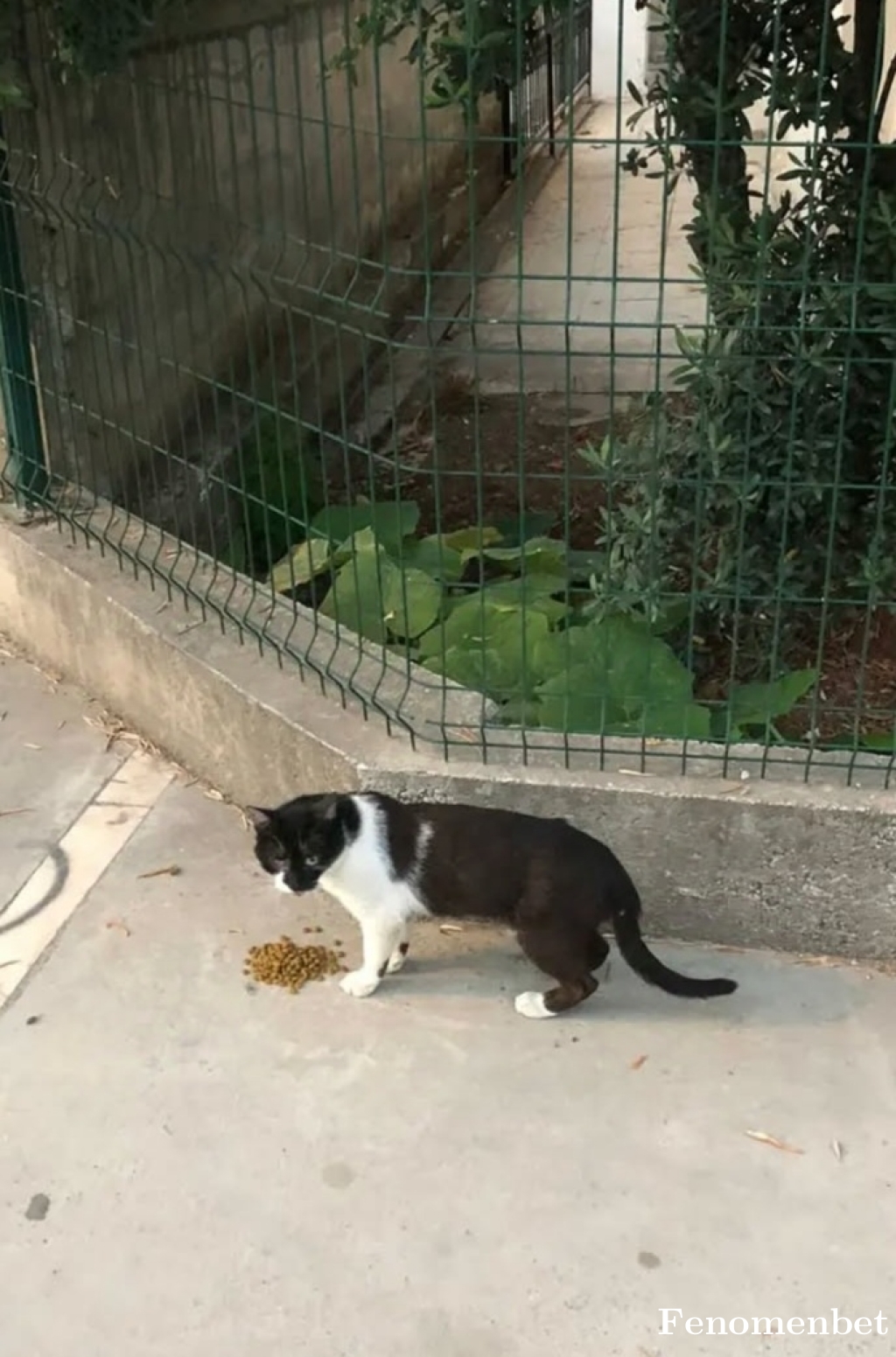 trukamtaf  tarafından paylaşıldı