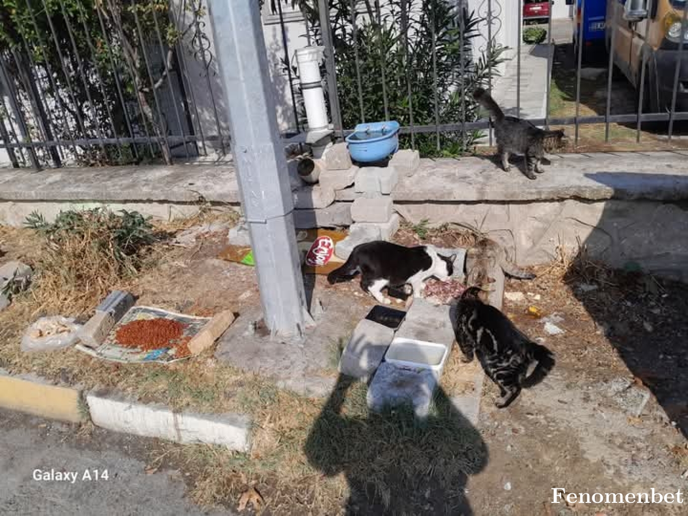 Sevda3232 tarafından paylaşıldı