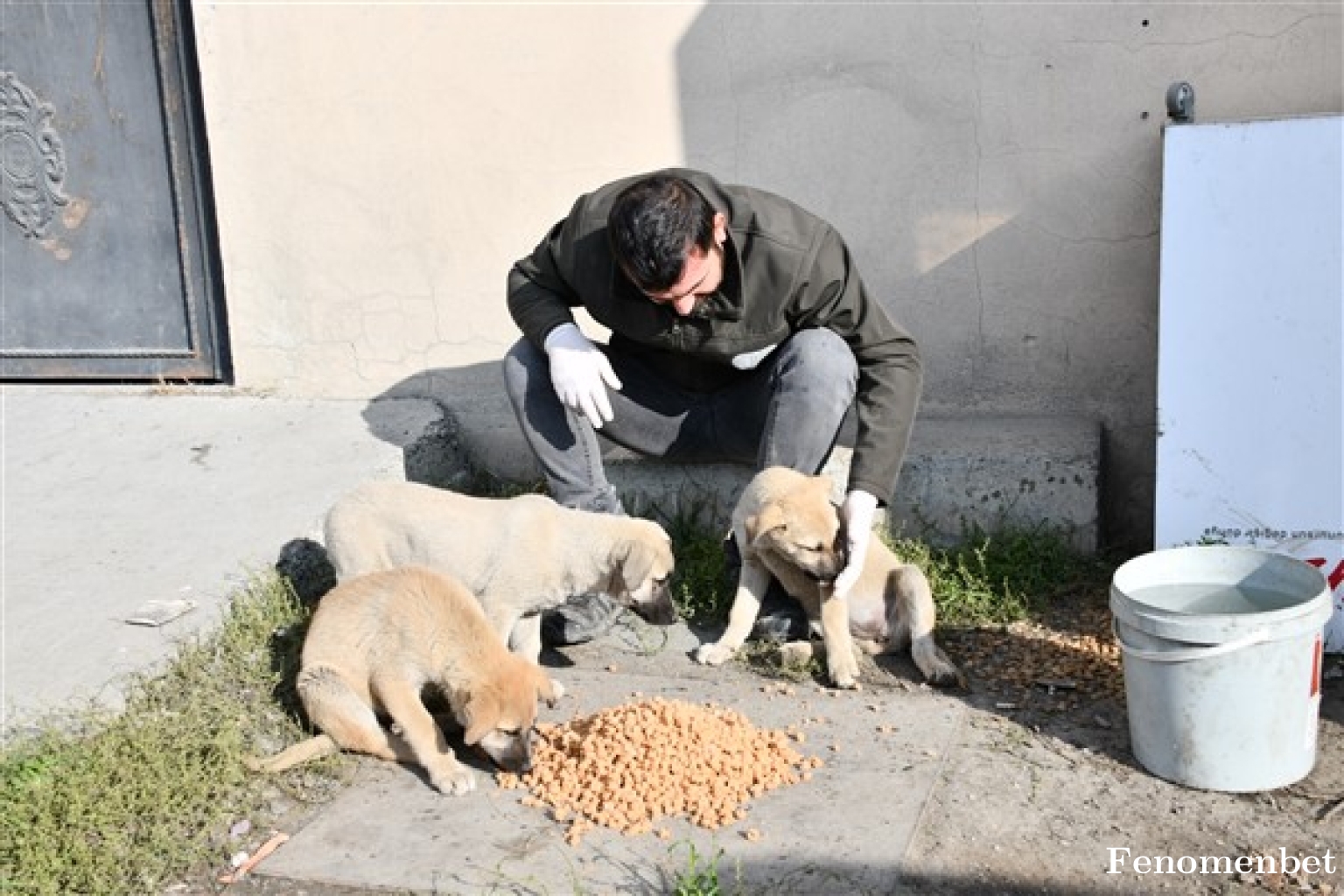 Azad55 tarafından paylaşıldı