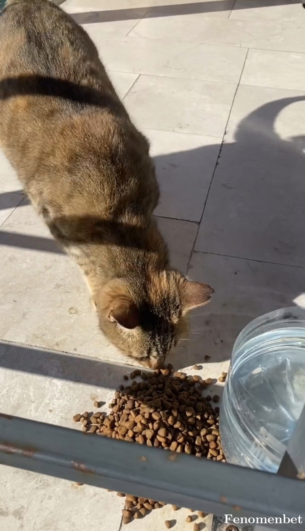 Turgy00 tarafından paylaşıldı