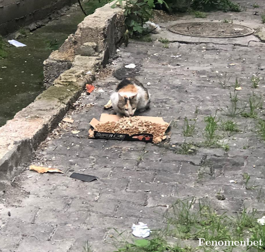 Halikarnas49 tarafından paylaşıldı