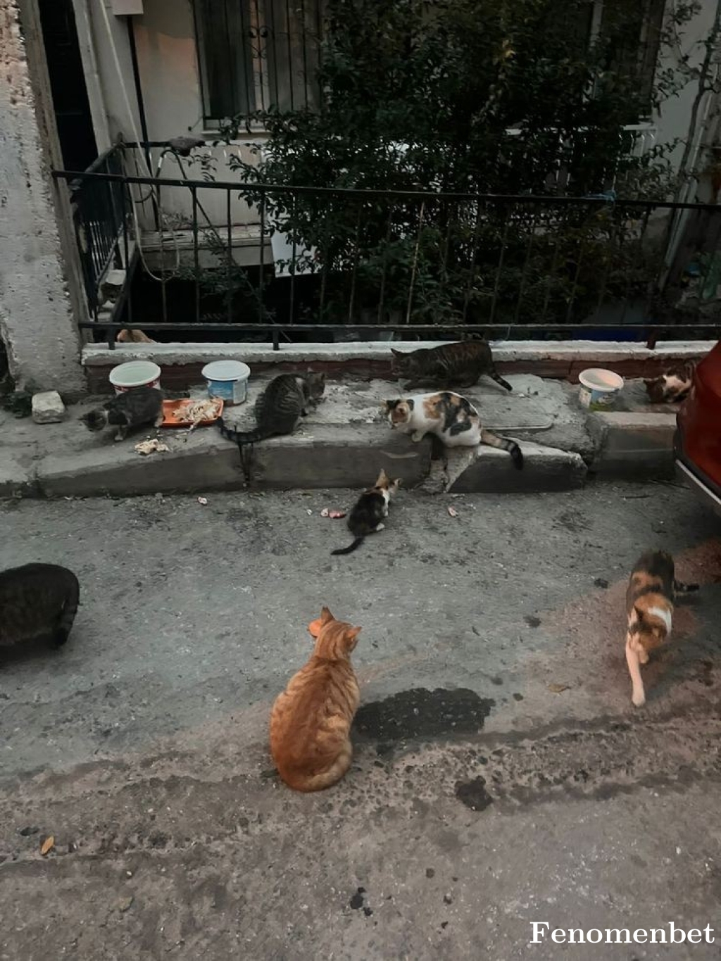 Buse1623 tarafından paylaşıldı