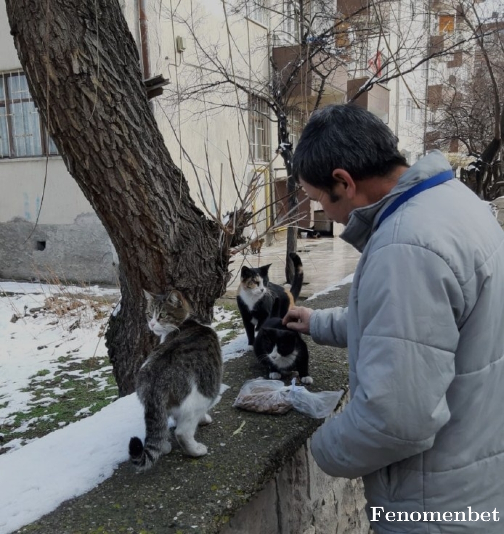 Dulkadir tarafından paylaşıldı