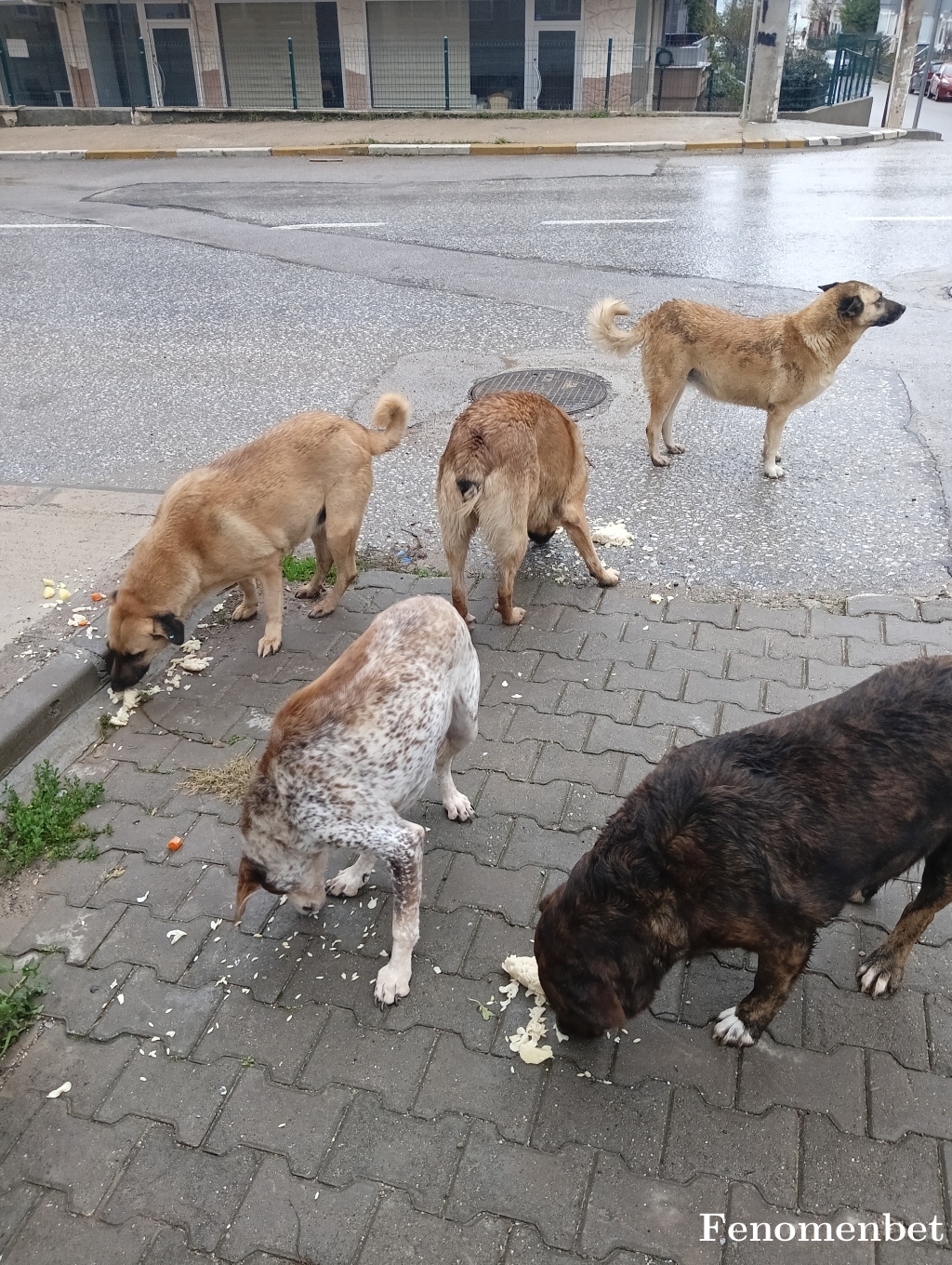 cadde tarafından paylaşıldı