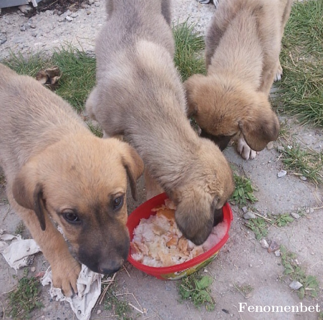 eyluldeniz16 tarafından paylaşıldı