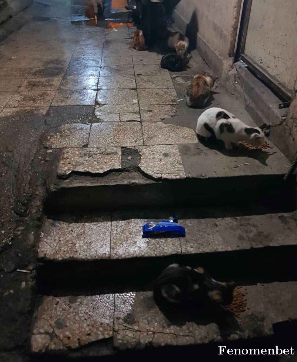 Eren2343 tarafından paylaşıldı