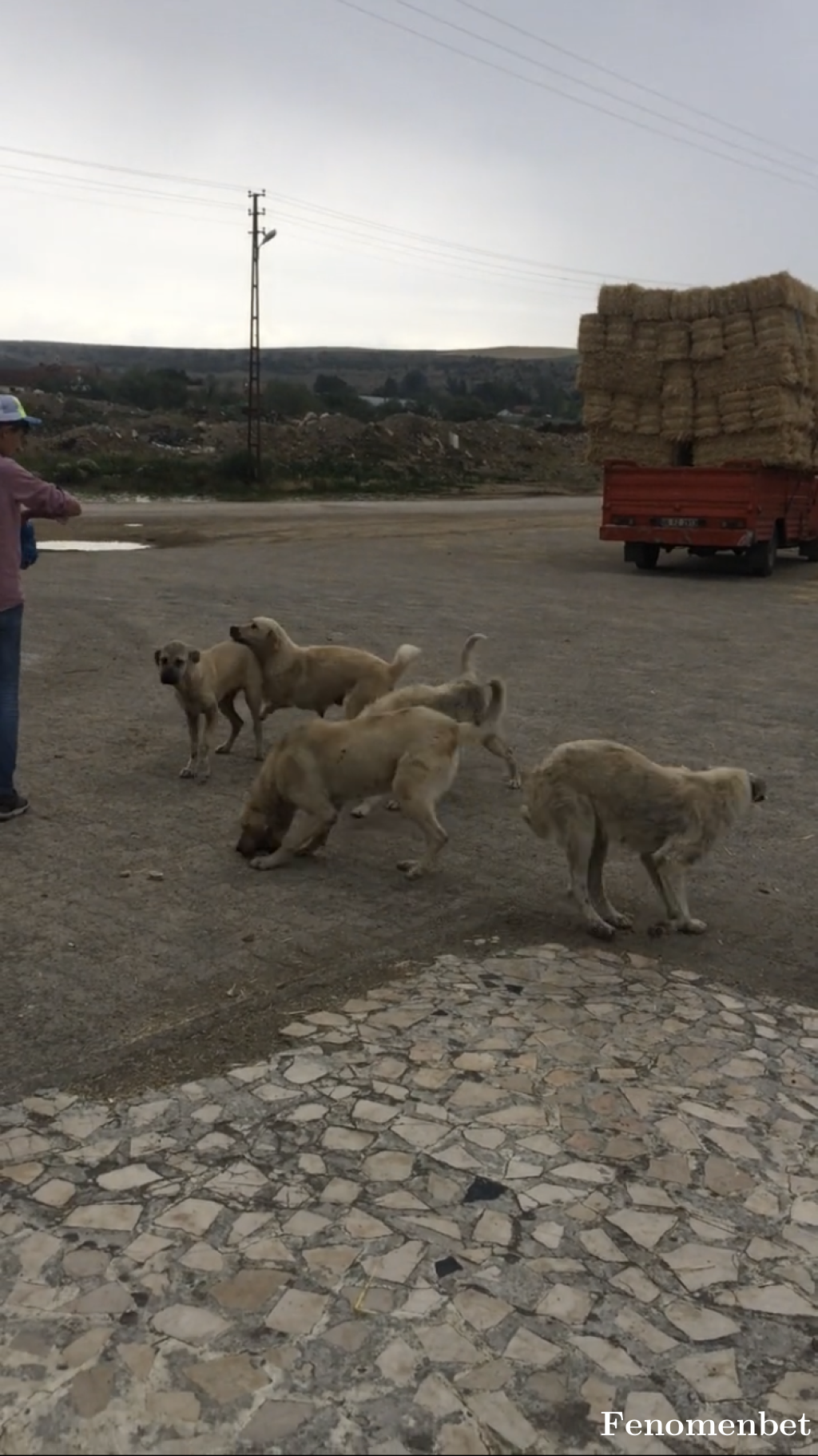 Azim05 tarafından paylaşıldı