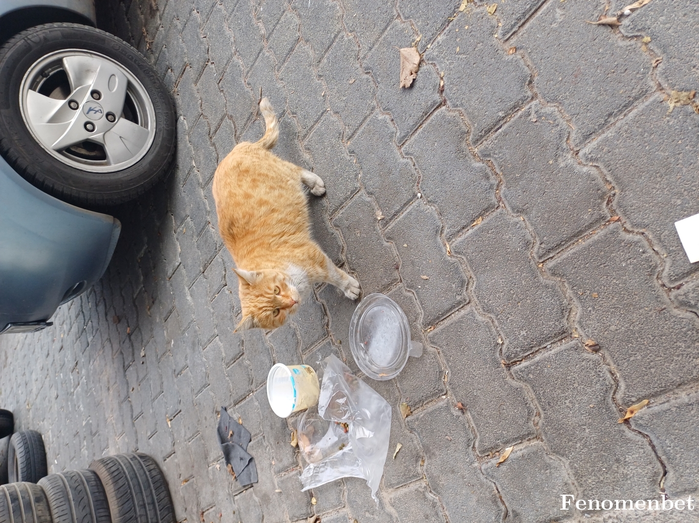 38ali tarafından paylaşıldı