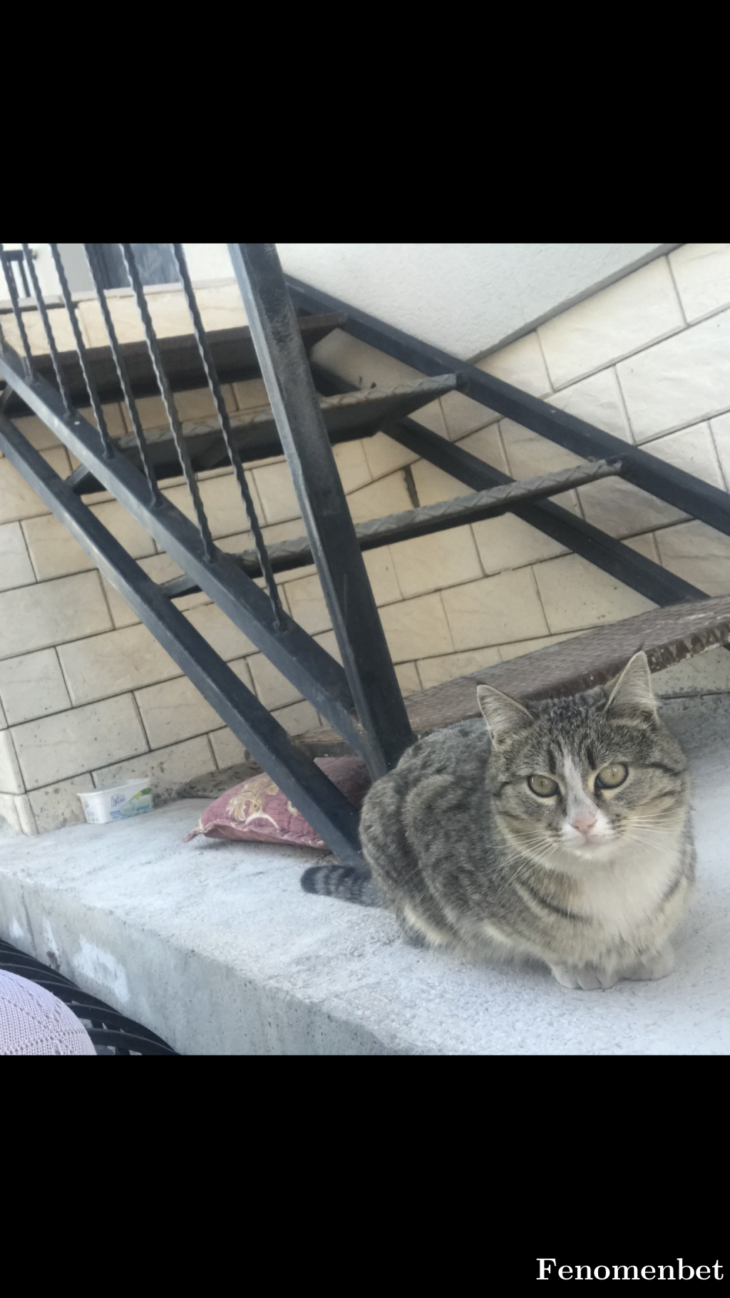 kartalizma68 tarafından paylaşıldı