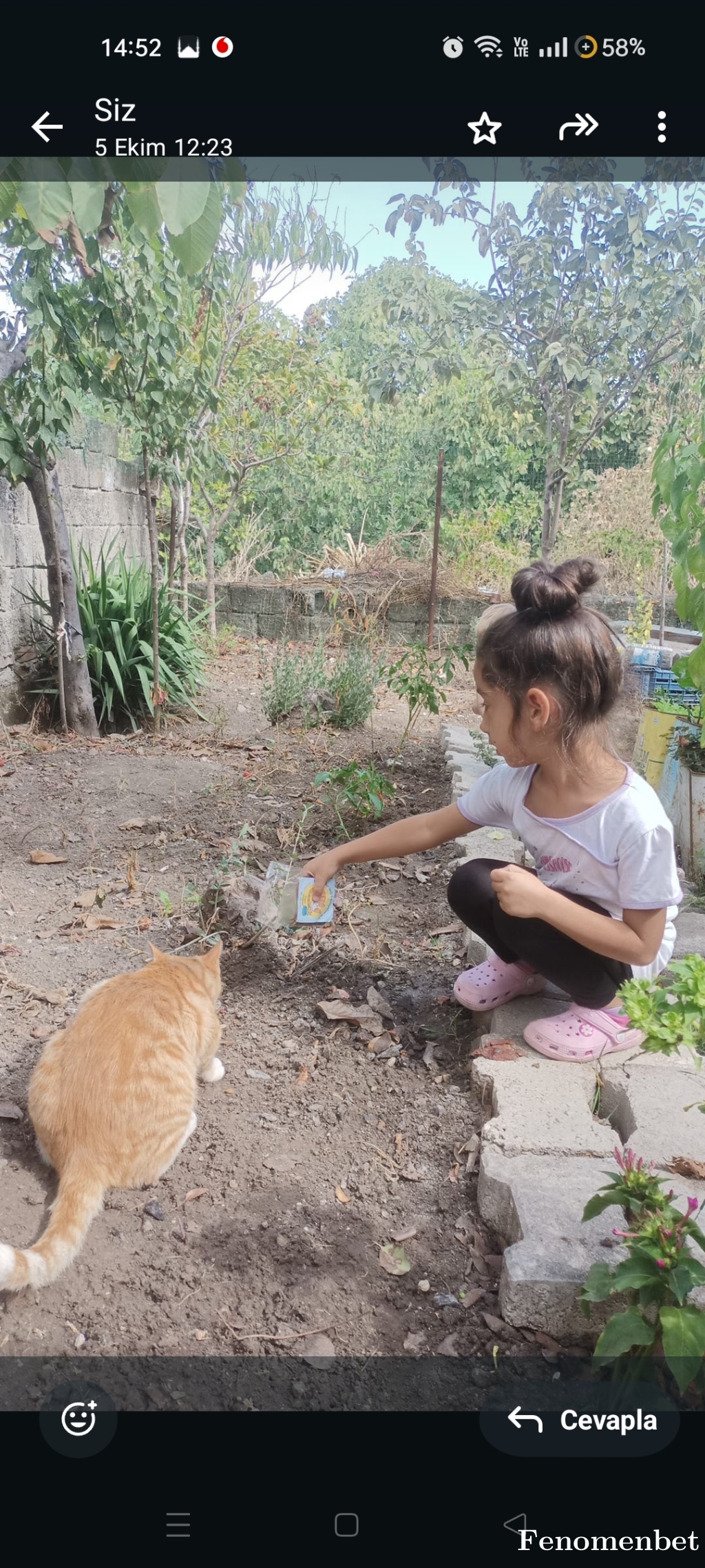 Esomi123 tarafından paylaşıldı