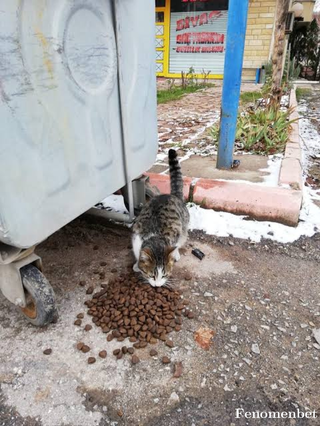 Antalya100 tarafından paylaşıldı