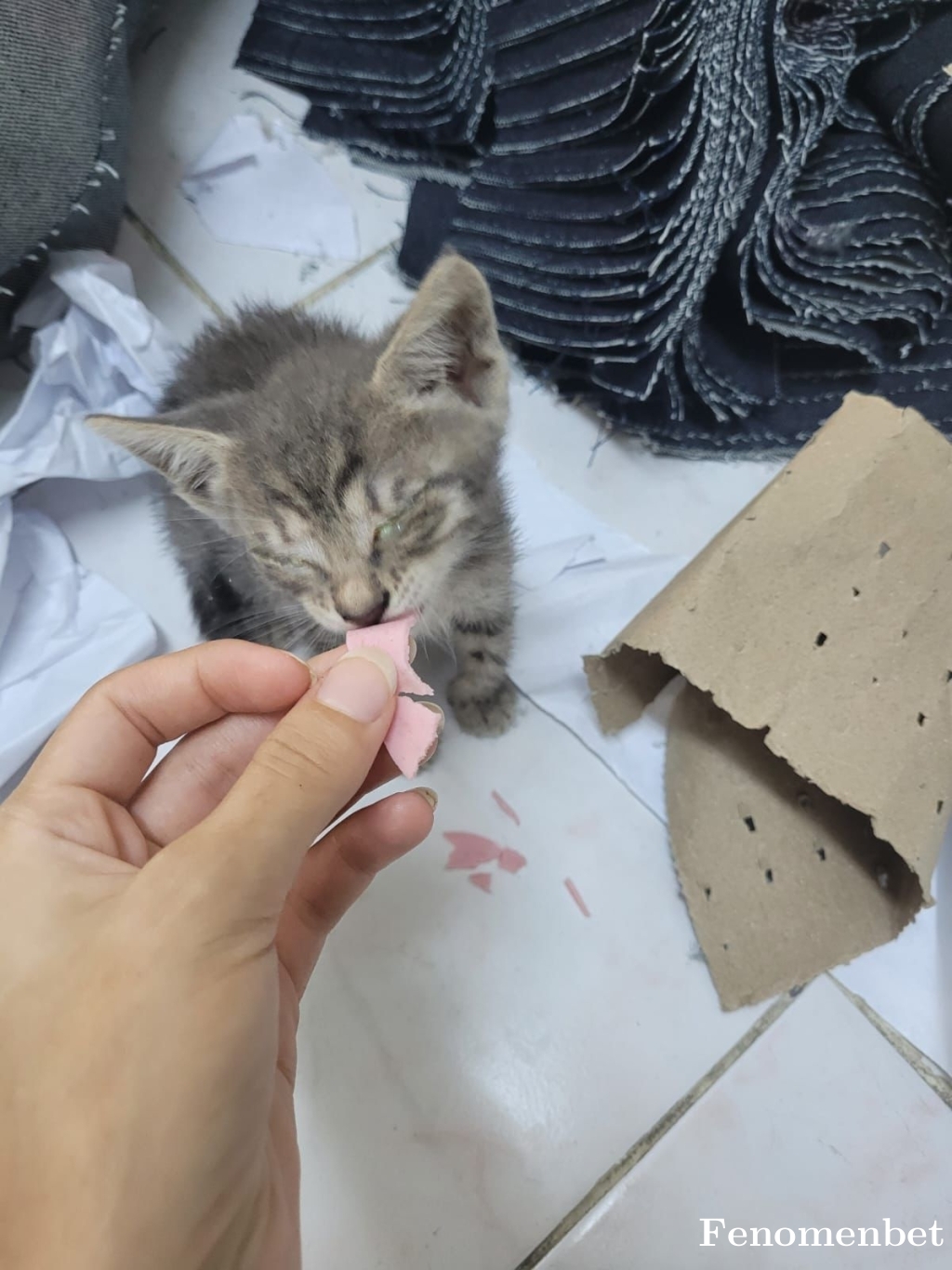 Esraacet tarafından paylaşıldı