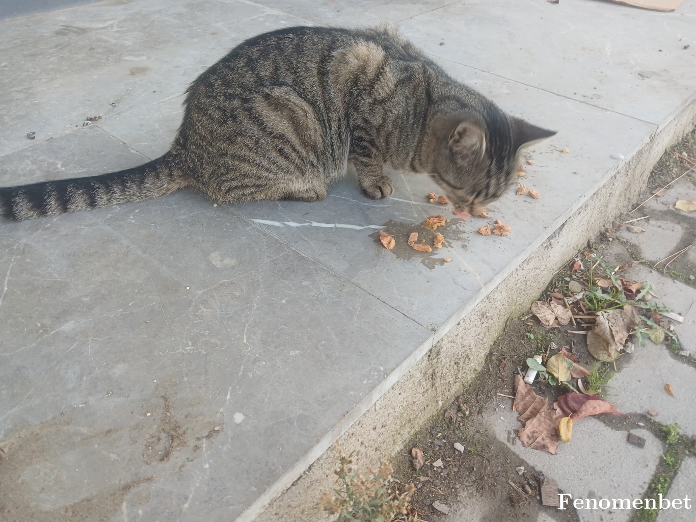 mikicchii tarafından paylaşıldı