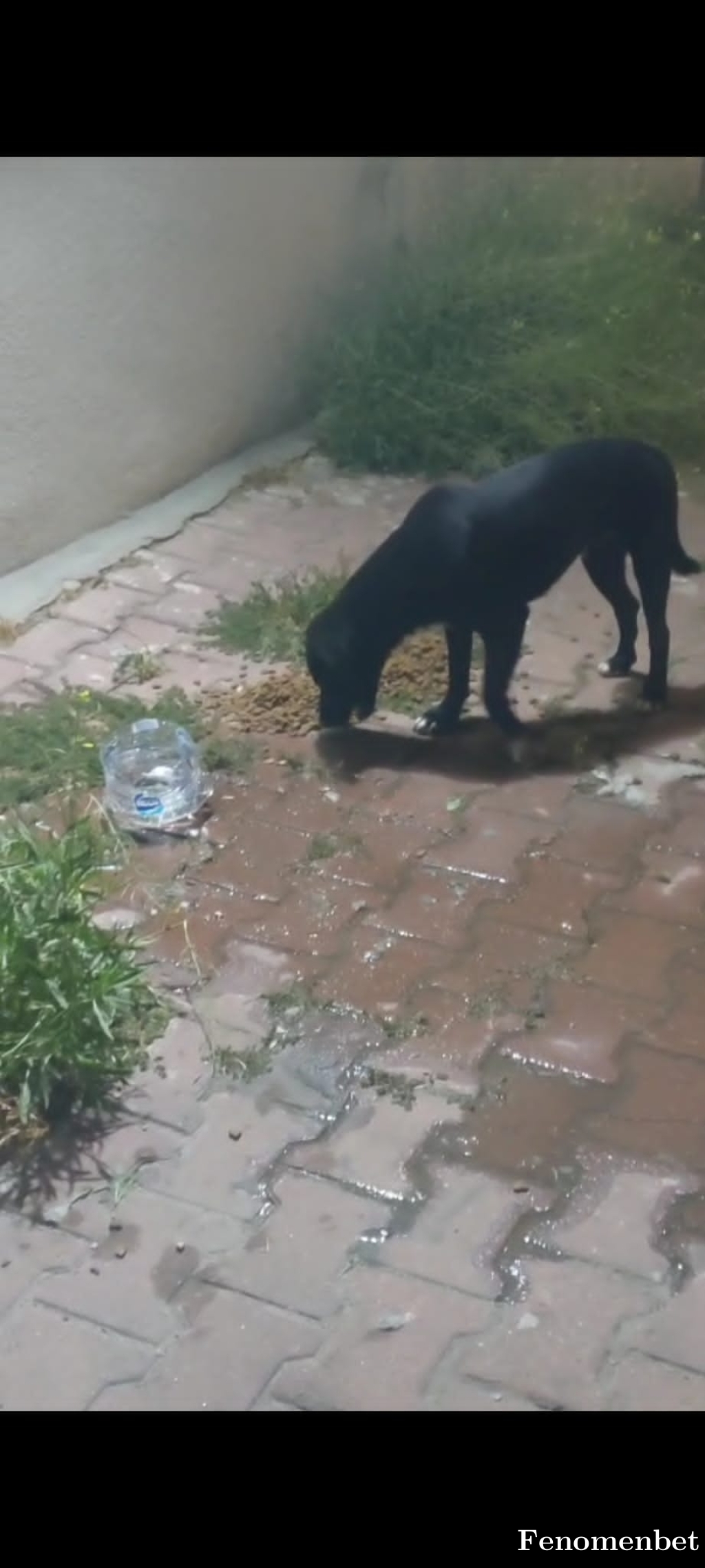 Fnddfn  tarafından paylaşıldı