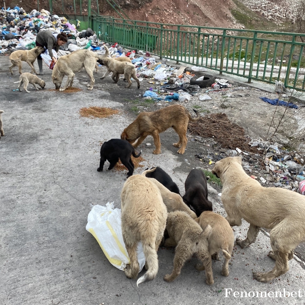 Ruyamm tarafından paylaşıldı