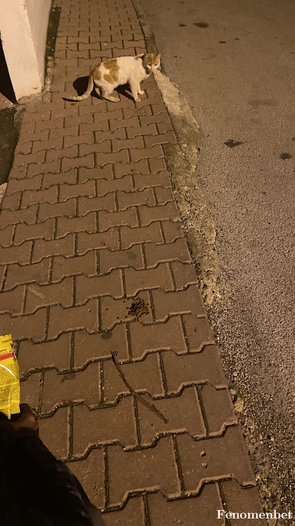 Ugur070707 tarafından paylaşıldı