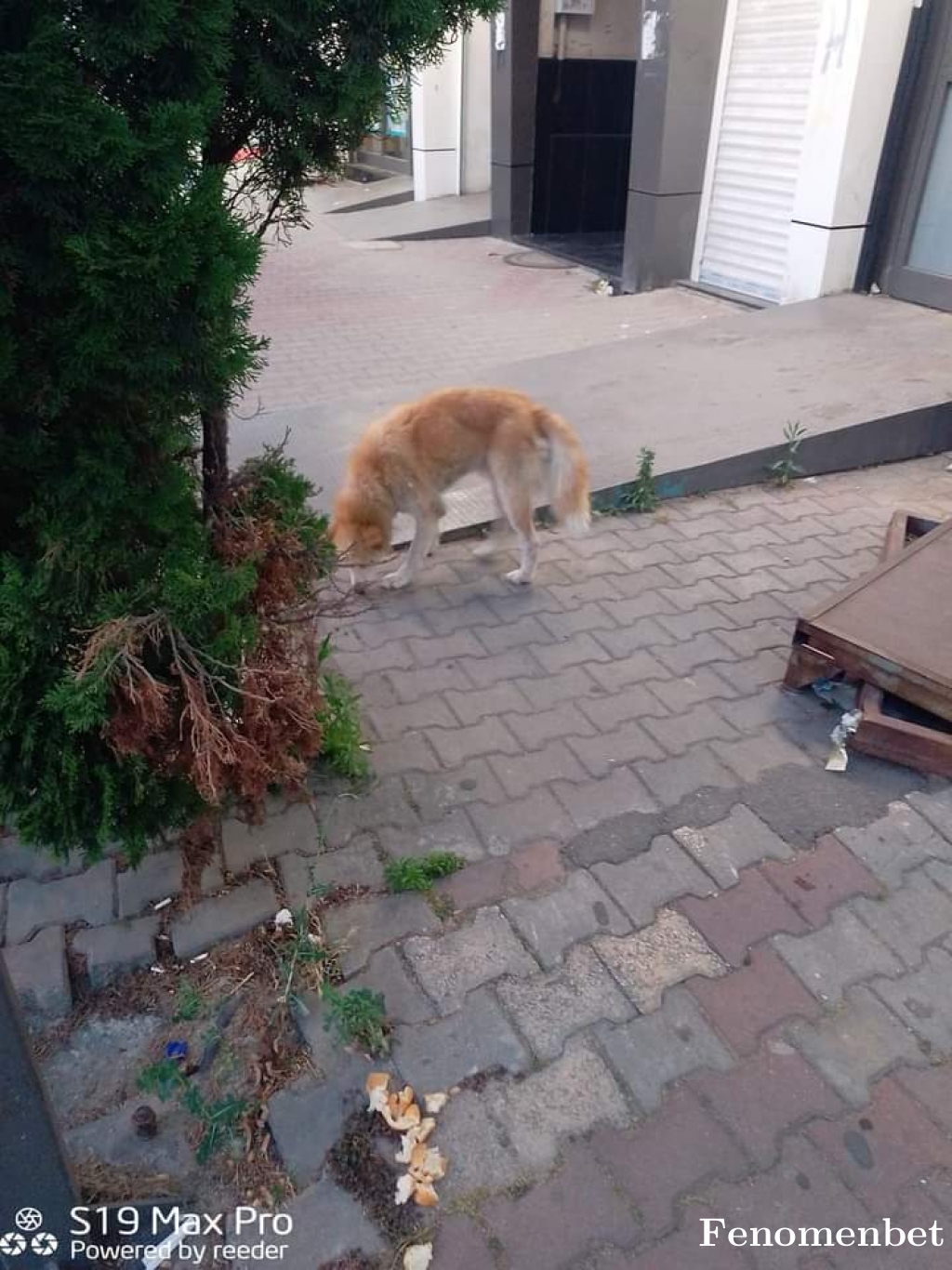 clupanqels tarafından paylaşıldı