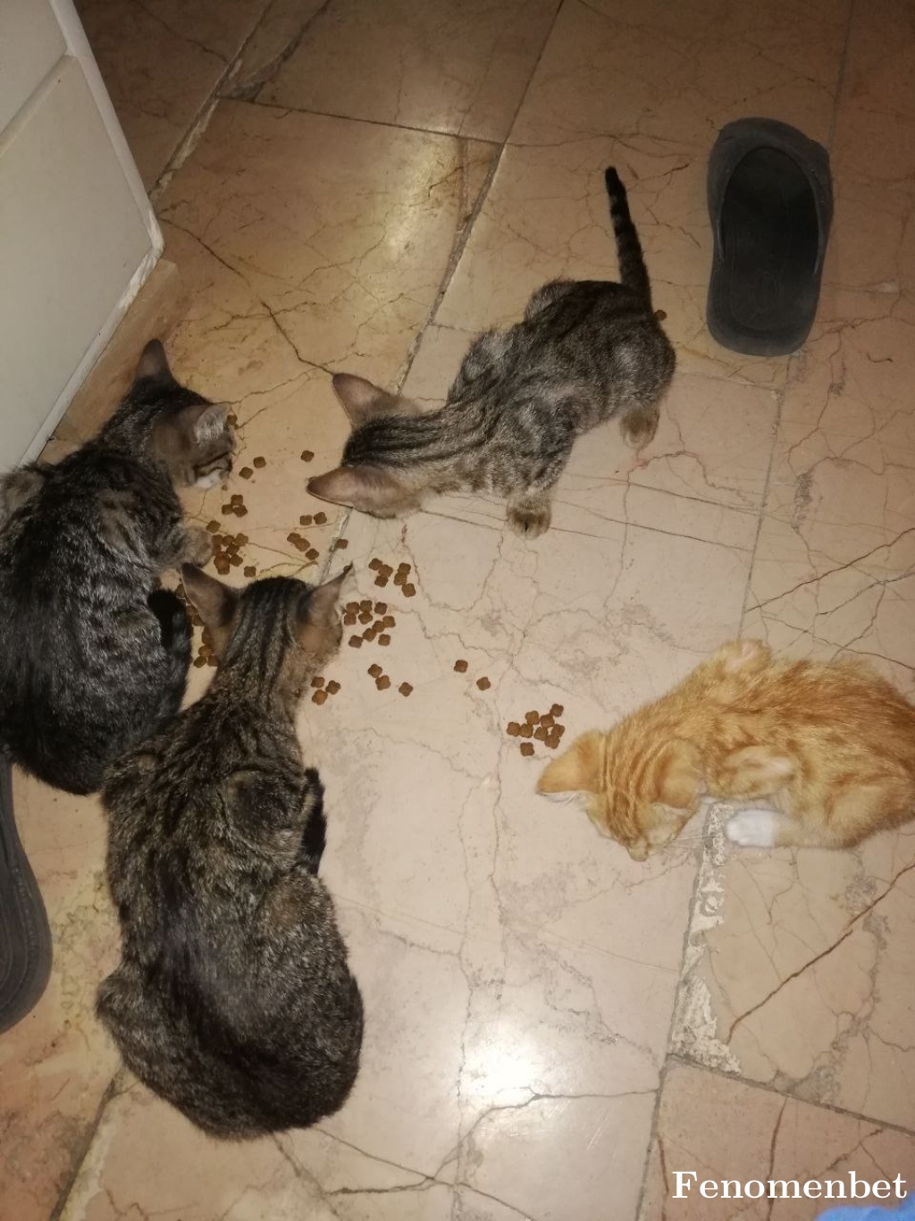 umut99 tarafından paylaşıldı
