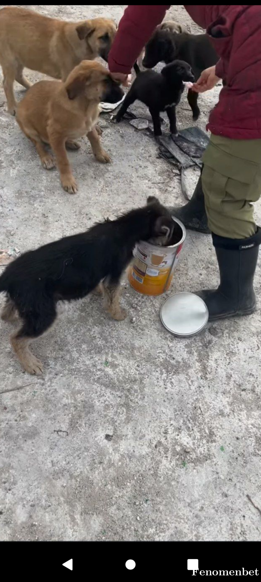 Rocas  tarafından paylaşıldı