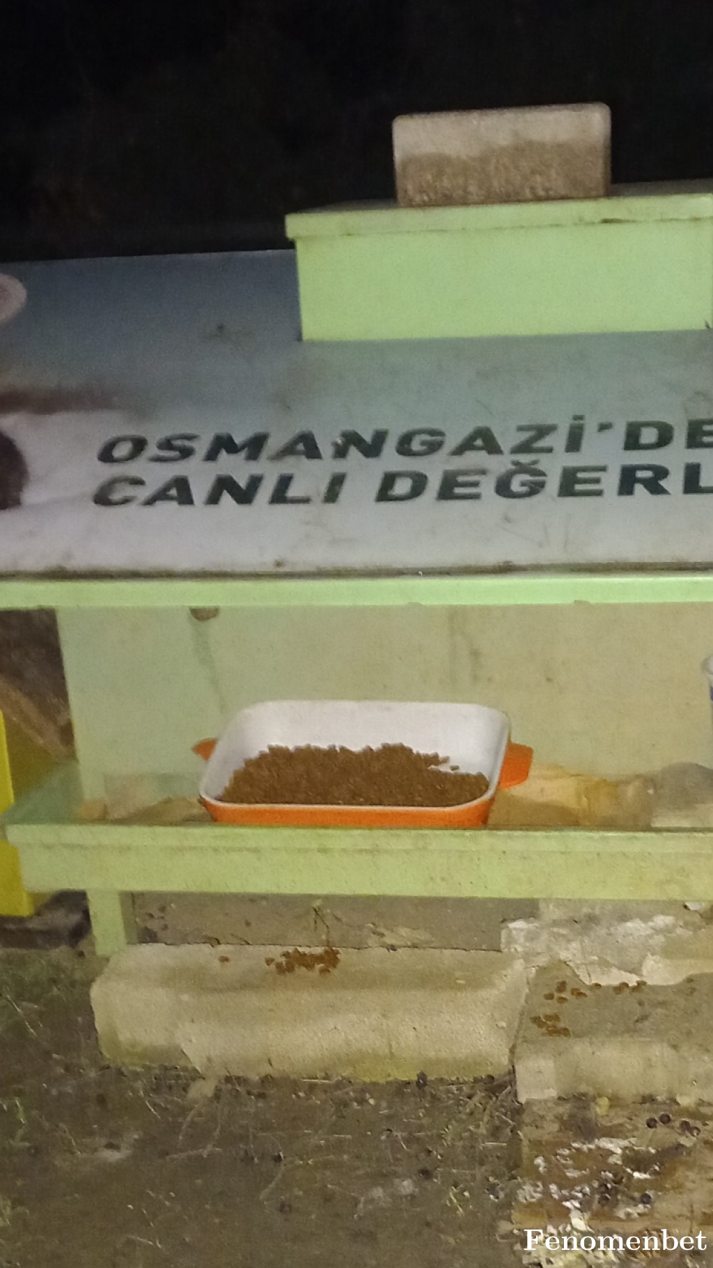 Cuculeta16 tarafından paylaşıldı
