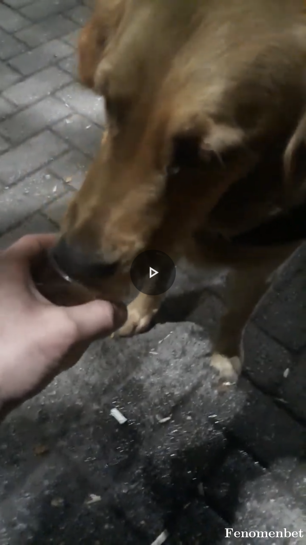 Can124 tarafından paylaşıldı