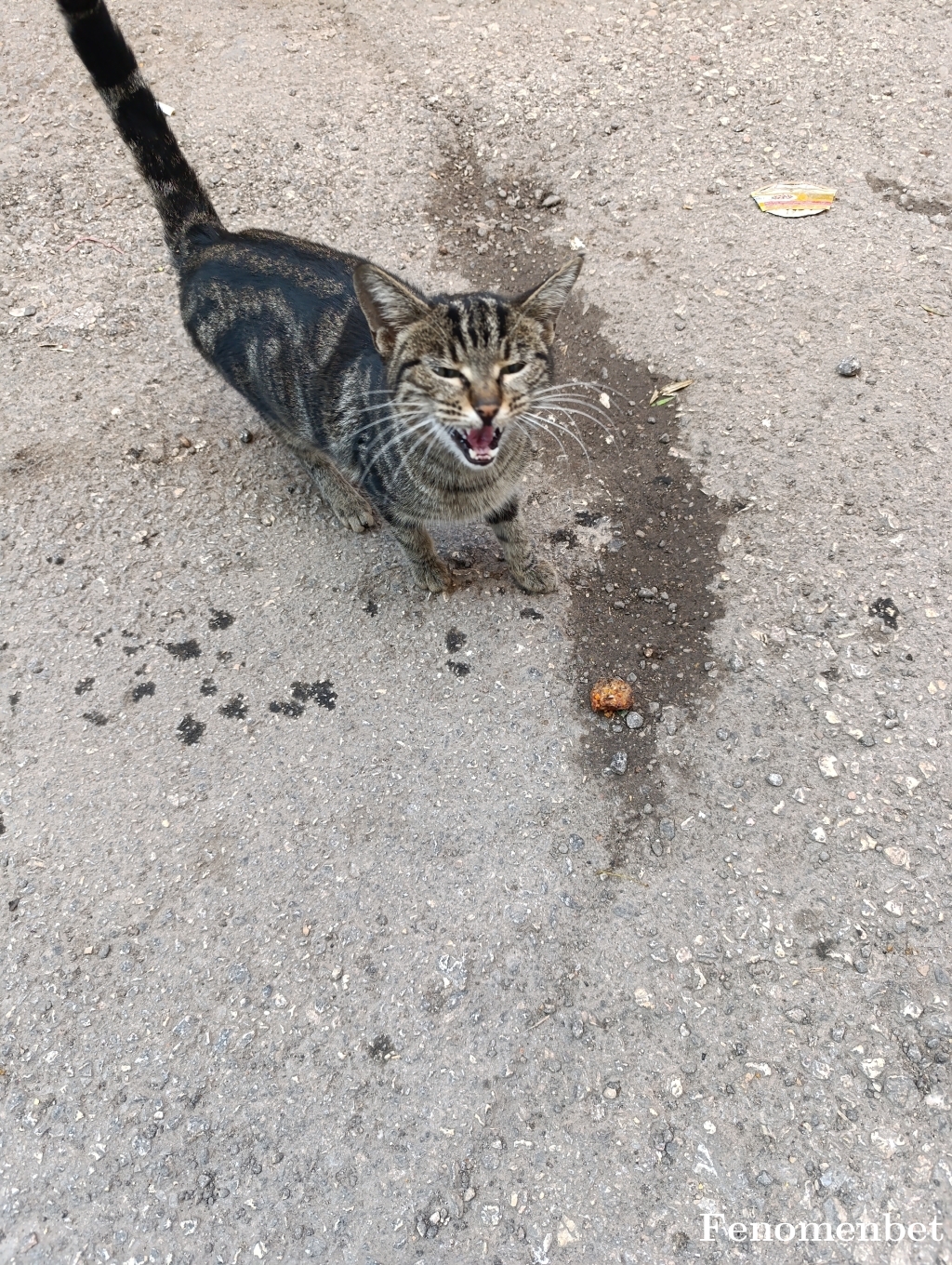 Zeynepkaya  tarafından paylaşıldı