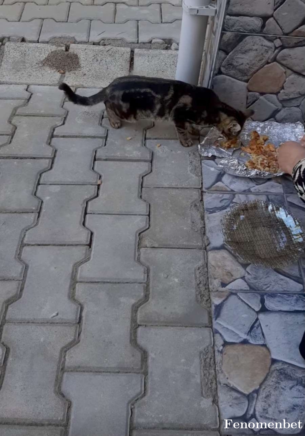 Mehmetdns  tarafından paylaşıldı