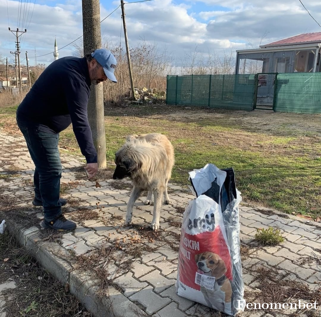 ilhanyer1 tarafından paylaşıldı