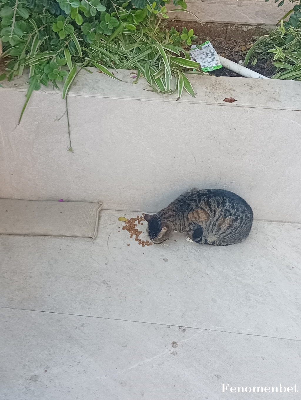 Kirvemuhi tarafından paylaşıldı